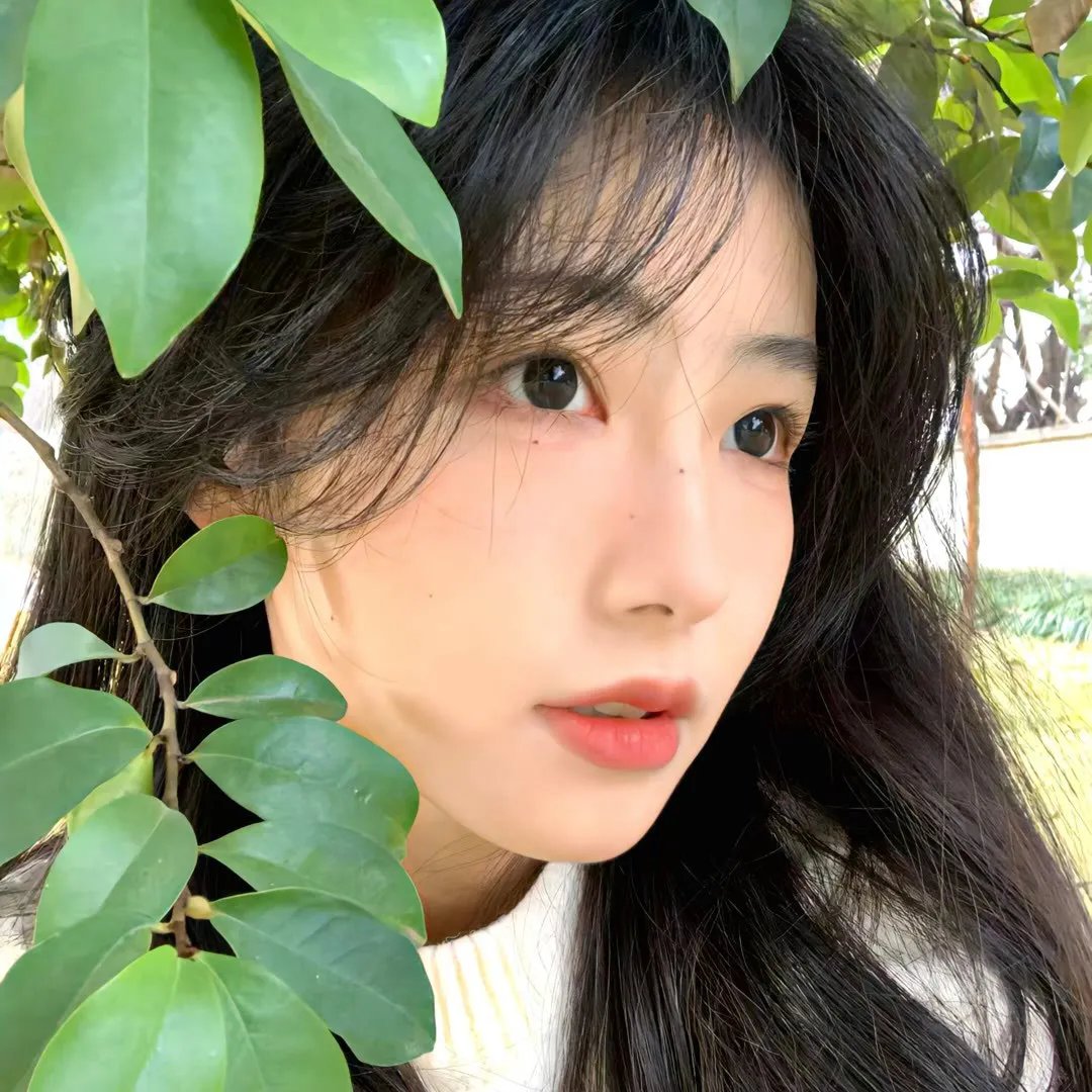 熊战士