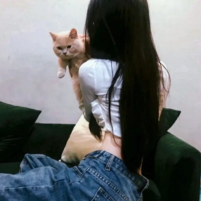 美丽的一天